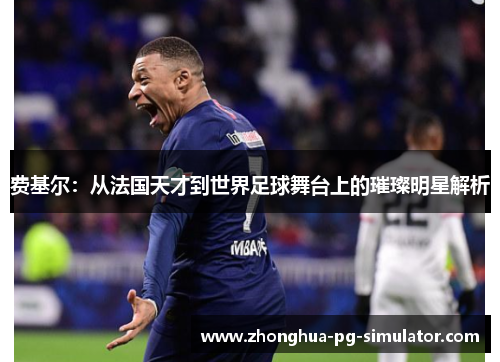 费基尔：从法国天才到世界足球舞台上的璀璨明星解析
