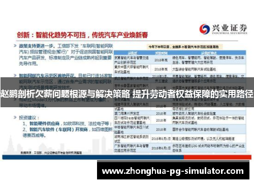赵鹏剖析欠薪问题根源与解决策略 提升劳动者权益保障的实用路径