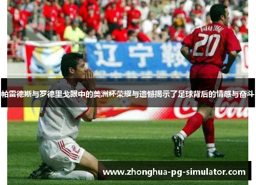 帕雷德斯与罗德里戈眼中的美洲杯荣耀与遗憾揭示了足球背后的情感与奋斗